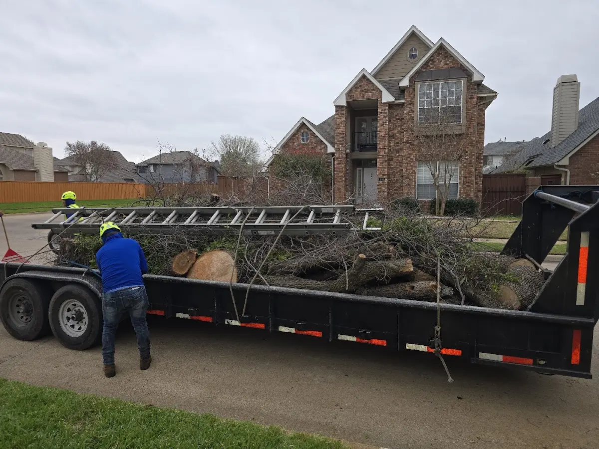 Expert Lot Clearing with proper safety equipment in Marion